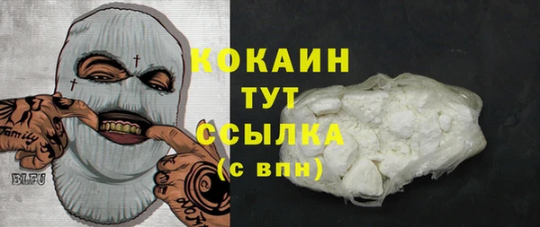 ешки Арсеньев