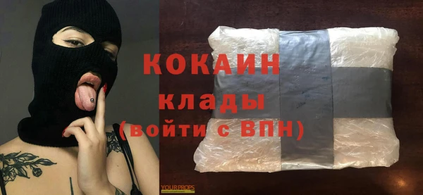 ешки Арсеньев