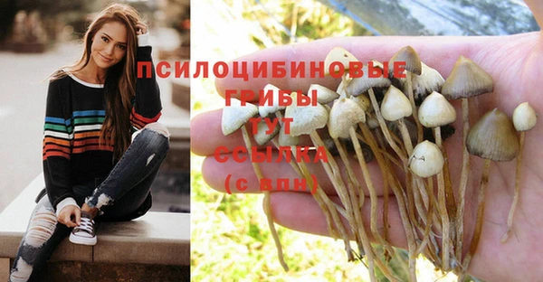 дмт Аркадак