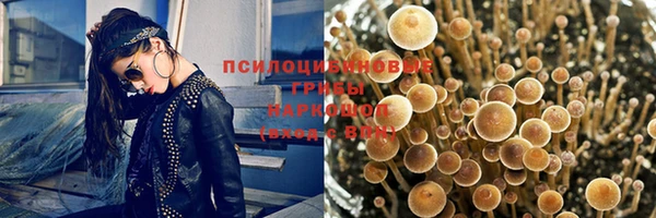 ешки Арсеньев