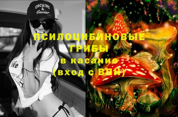 дмт Аркадак