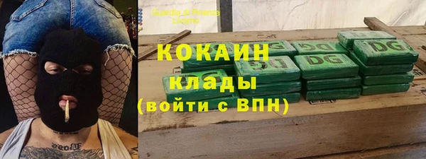 ешки Арсеньев