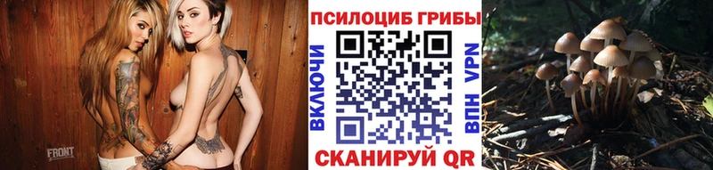 Галлюциногенные грибы GOLDEN TEACHER  Приморск 